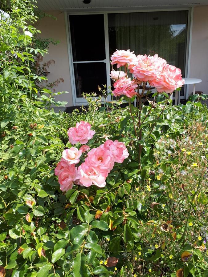 Entire House, Quiet City Location, Garden, Parking Μπίλεφελντ Εξωτερικό φωτογραφία